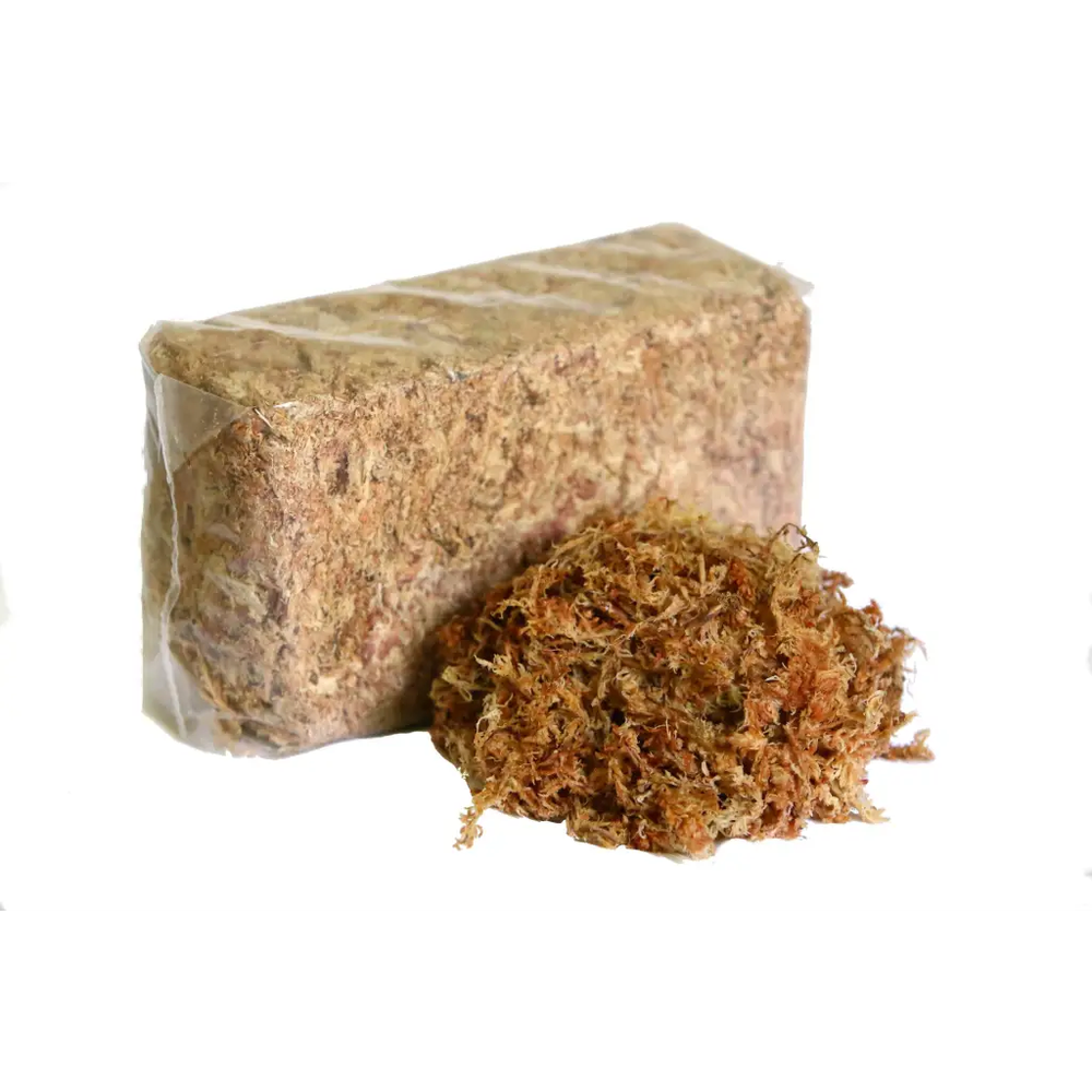 Orchid Nerd Compressed Sphagnum Moss 150 Grams