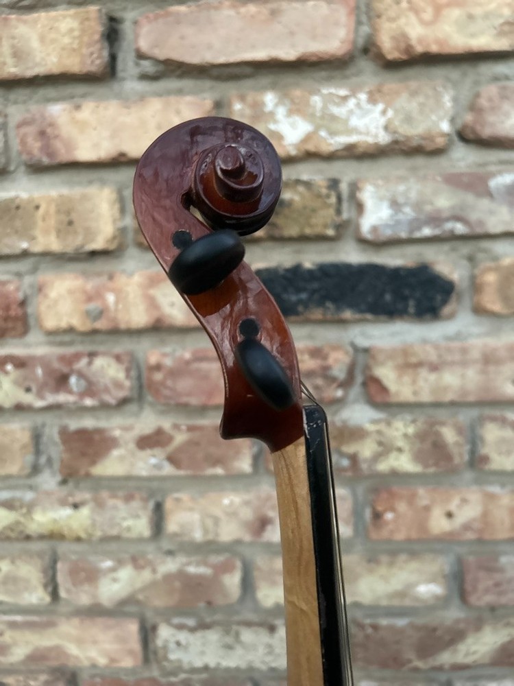 Maestro violin with two bows