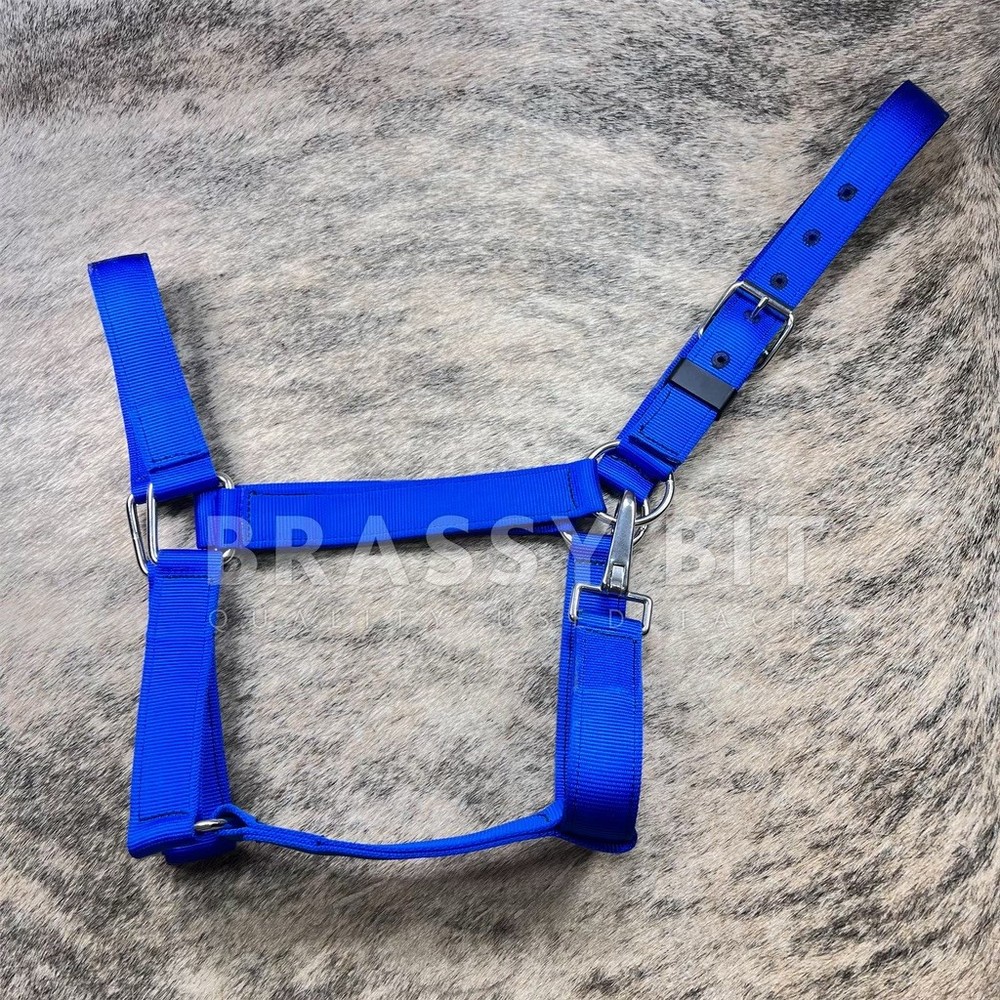 Heavy Duty Draft Horse Halter