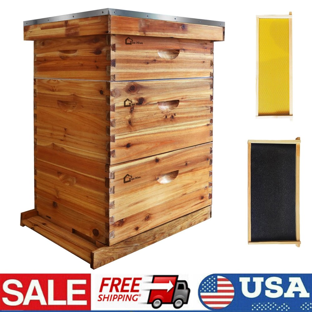 3 Layer Beekeeping Starter Hive Kit 2 Deep 1 Medium 10 Frame Cedarwood Kit US