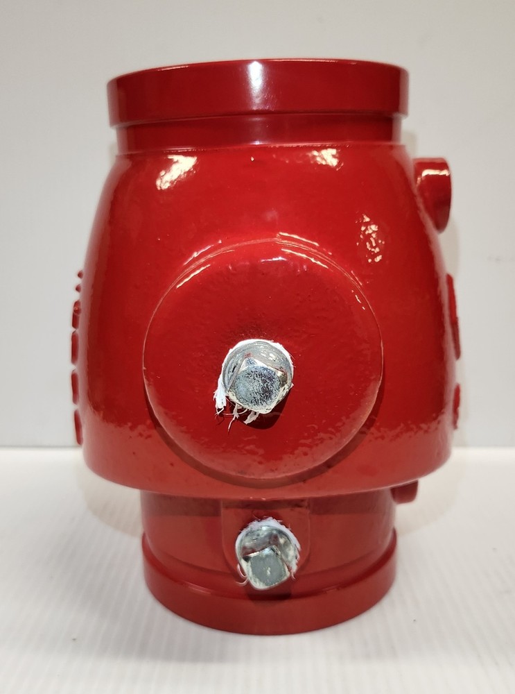 4" GROOVED CHECK VALVE WP 300PSI