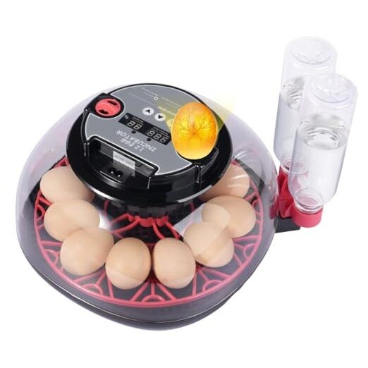 for Hatching Eggs, Chicken Egg Incubator with Automatic Egg 12 Egg Incubators