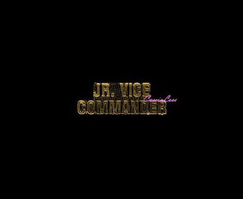 Jr. Vice Commander + a custom promo pin
