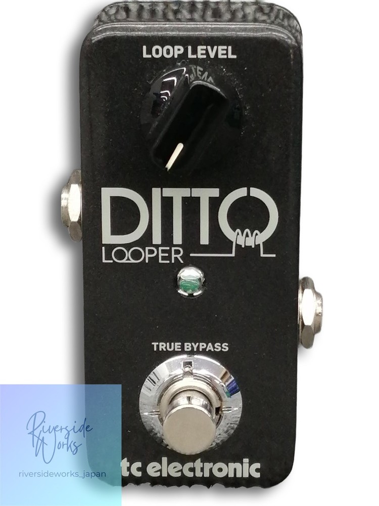 TC Electronic Ditto Looper Guitar Effects Pedal JP