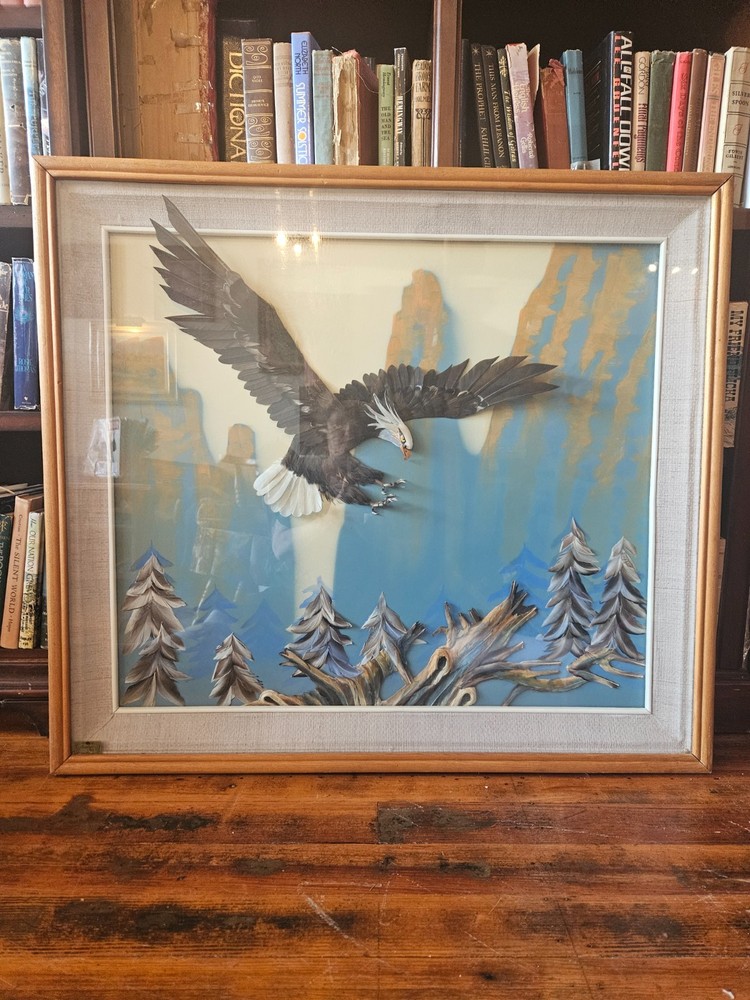 Multi Media 3D Bald Eagle in Flight Shadow Box Framed 37" x 33"
