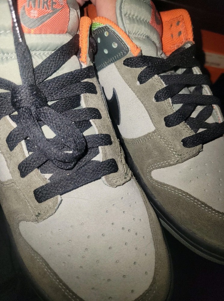 Rare 06 NIKE Adventure Park Dunks