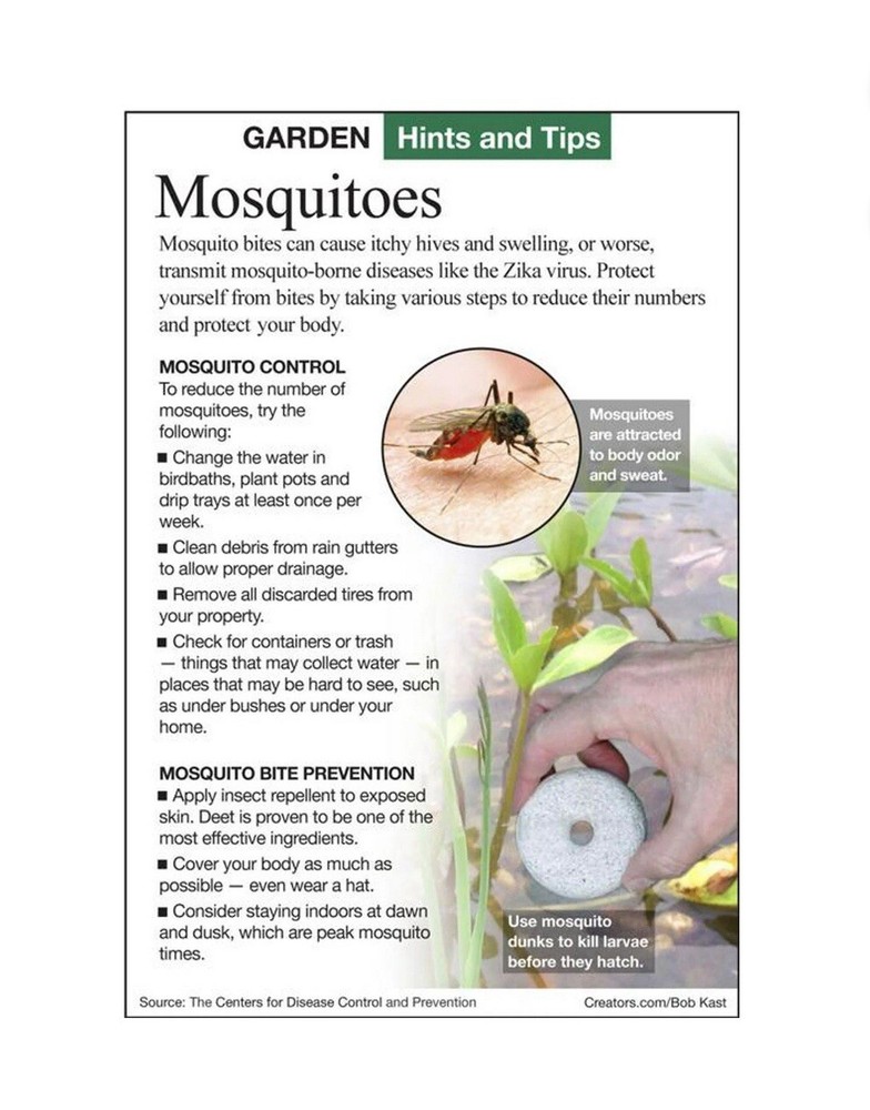 6-Pack Summit MOSQUITO DUNKS Floating Pod Kill Biological Safe 30 Day Control