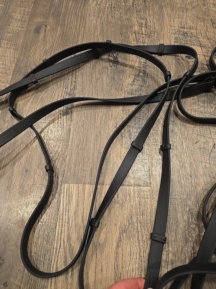 driving reins