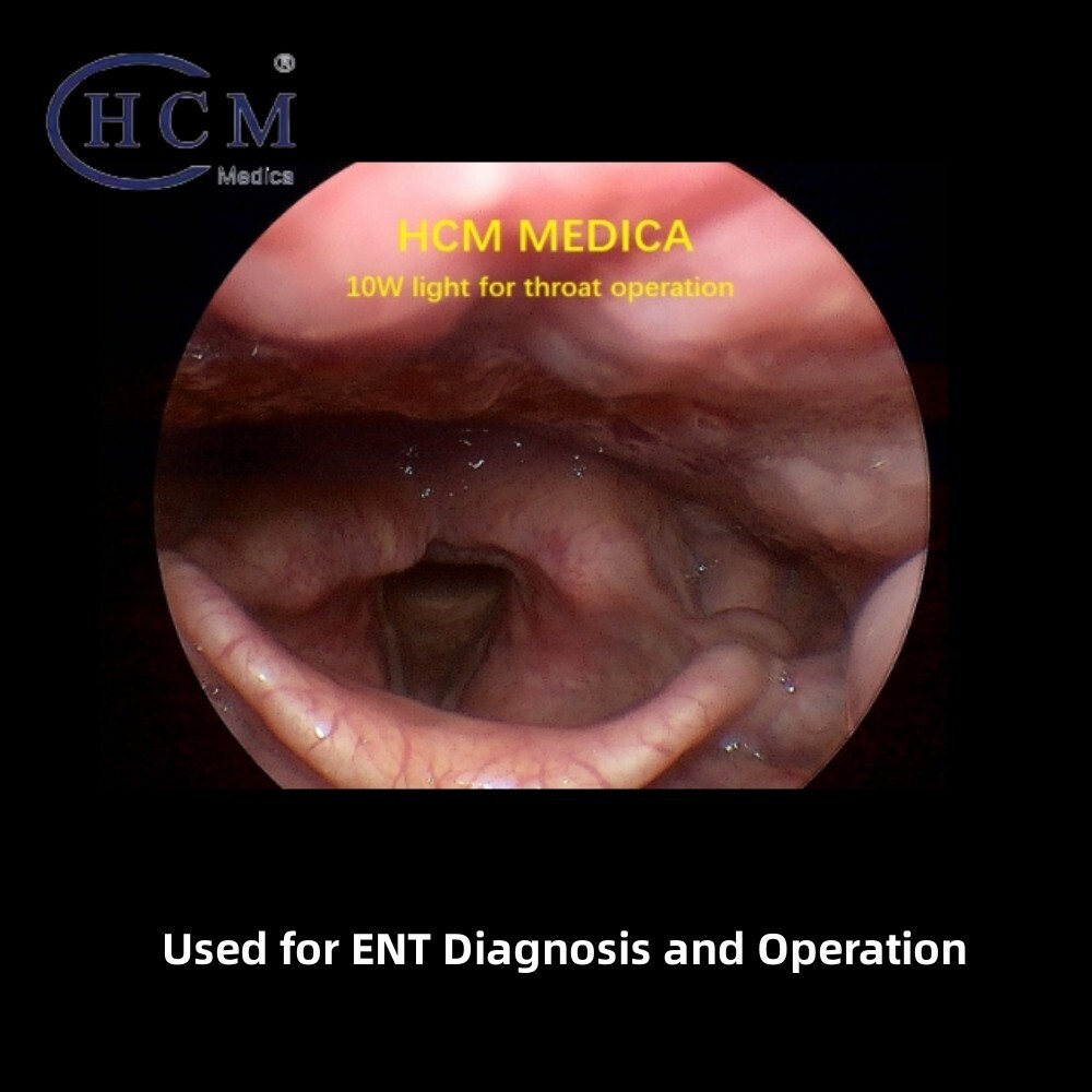 10W Mini Portable LED Light Source Fit For ENT Surgery Endoscope Light Source