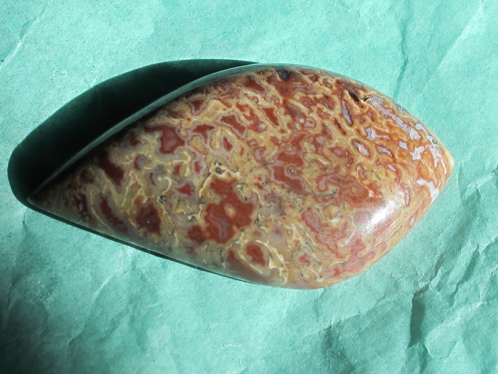 Dinosaur Bone * Large Unique Cabochon - 60 cts.