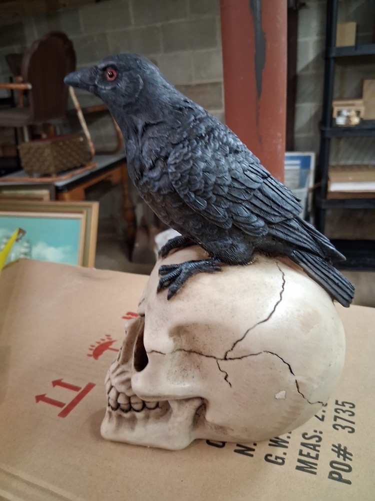 Raven Perched on Skull Gothic Figurine