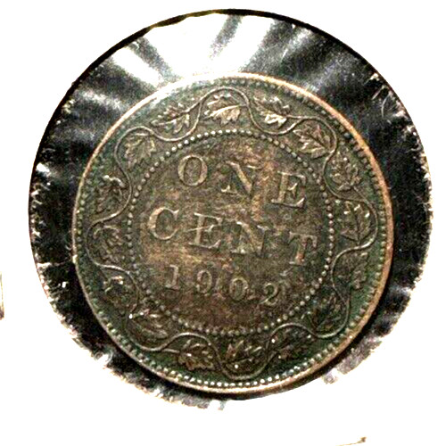 Canada 1902 large cent KM 8 AU (1)