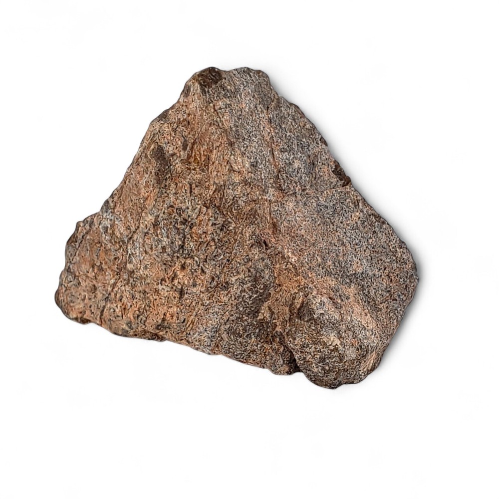 Jurassic Dinosaur Fossil Bone from Morrison Formation Includes Display