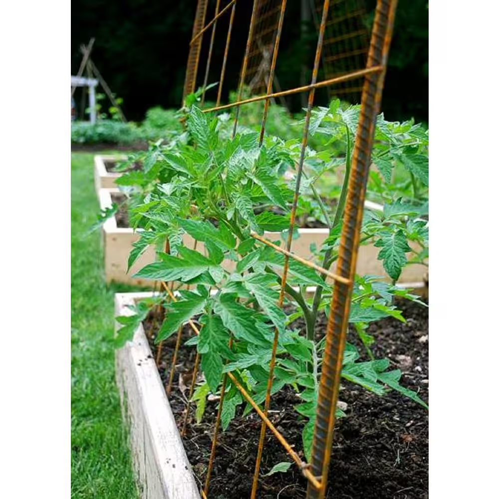 1/2 In. X 2 Ft. #4 Rebar (6-Per Bundle)