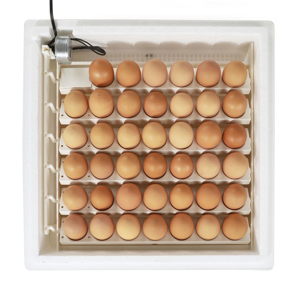 Farm Innovators 3200 Automatic 41 Spot Egg Turner for Improved Hatching (4 Pack)