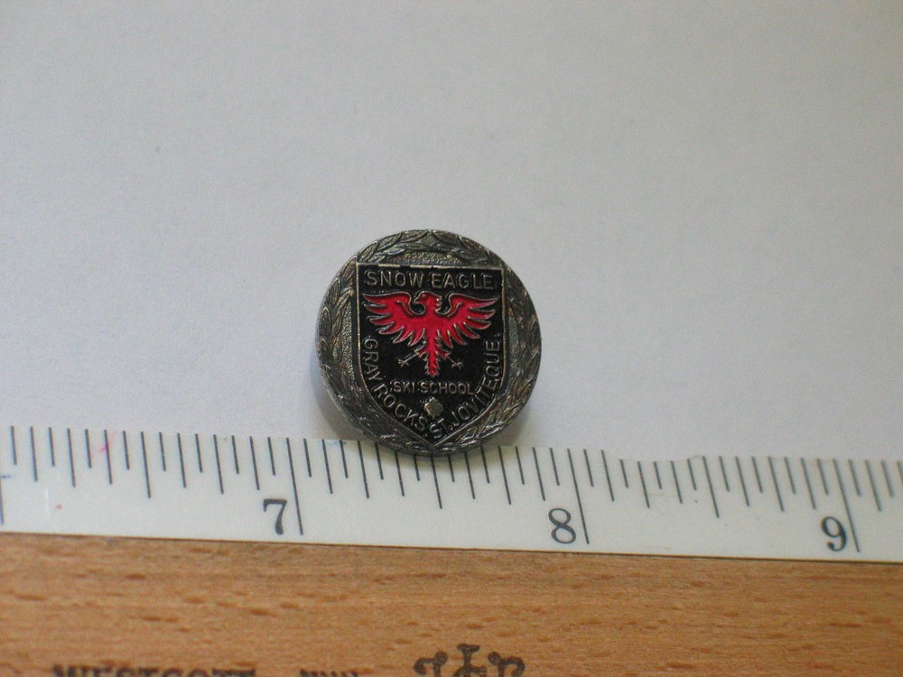 Snow Eagle Grey Rock Ski Pin