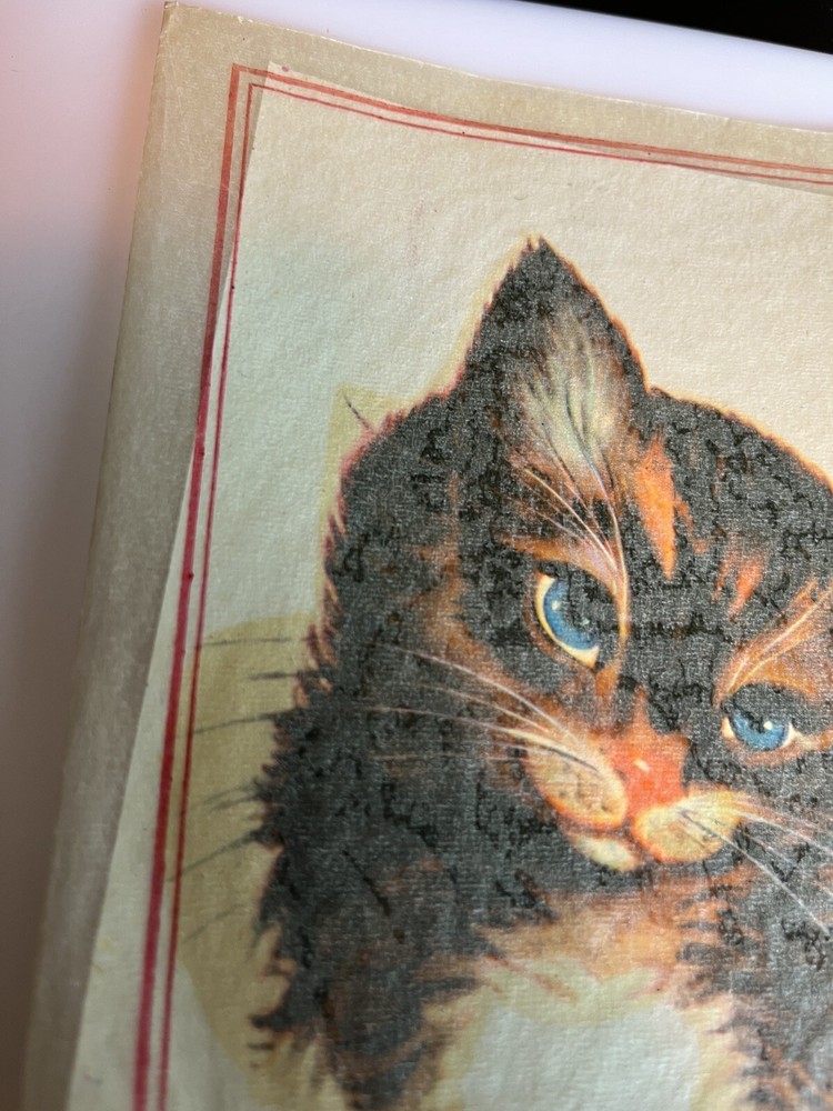 Vintage Water Slide Decals Cat