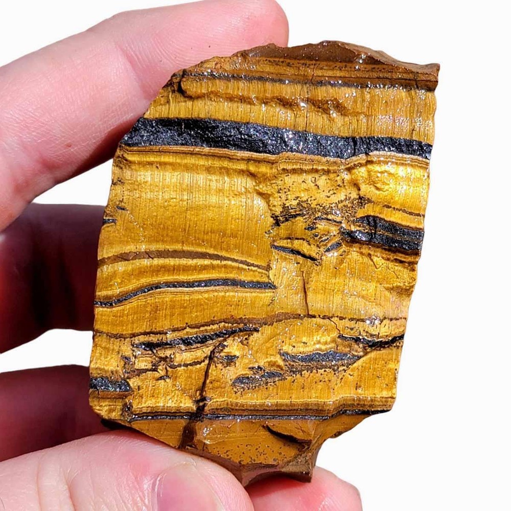 Random Pull Golden Tiger's Eye Rough! Chatoyant Display!