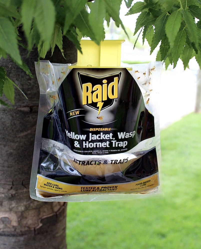 Raid 3 Pack Disposable Traps Yellow Jackets, Wasps and Hornets