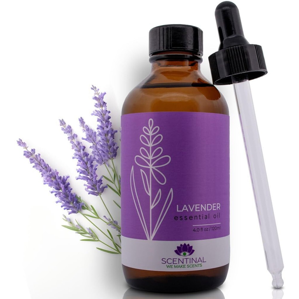 Scentinal Lavender Essential Oil - 100% Pure, Natural & Authentic - Extra Large