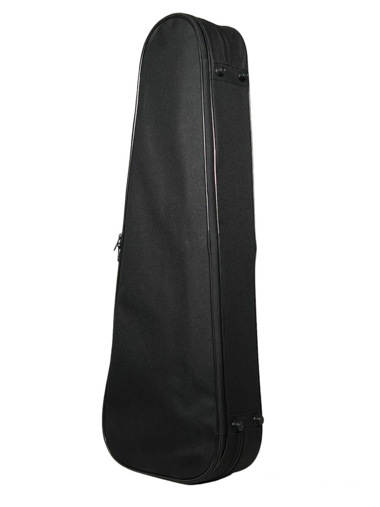 Petz Violin Violin Case Triangular Shape with Shoulder Rest Compartment in 7 ...
