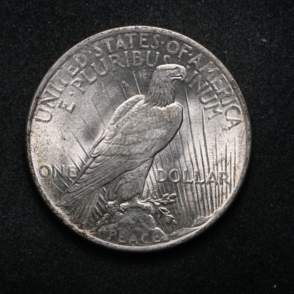 1924 Peace Silver Dollar BU+ (cn16327)