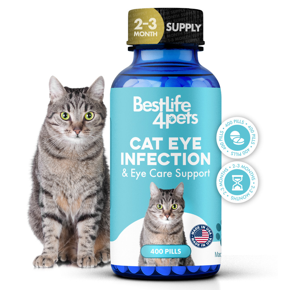 Cat Eye Infection & Vision Care Support