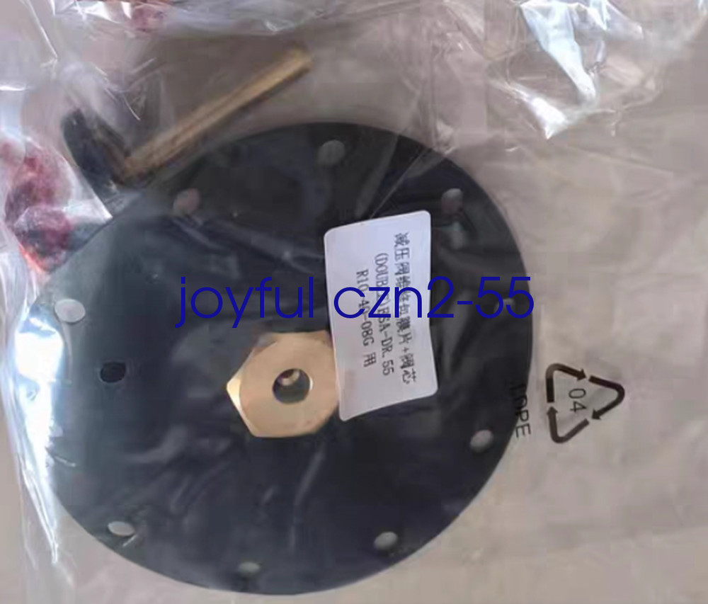 R10-40-08 G Blow Molding Machine Pressure Reducing Valve Repair Kit Diaphragm