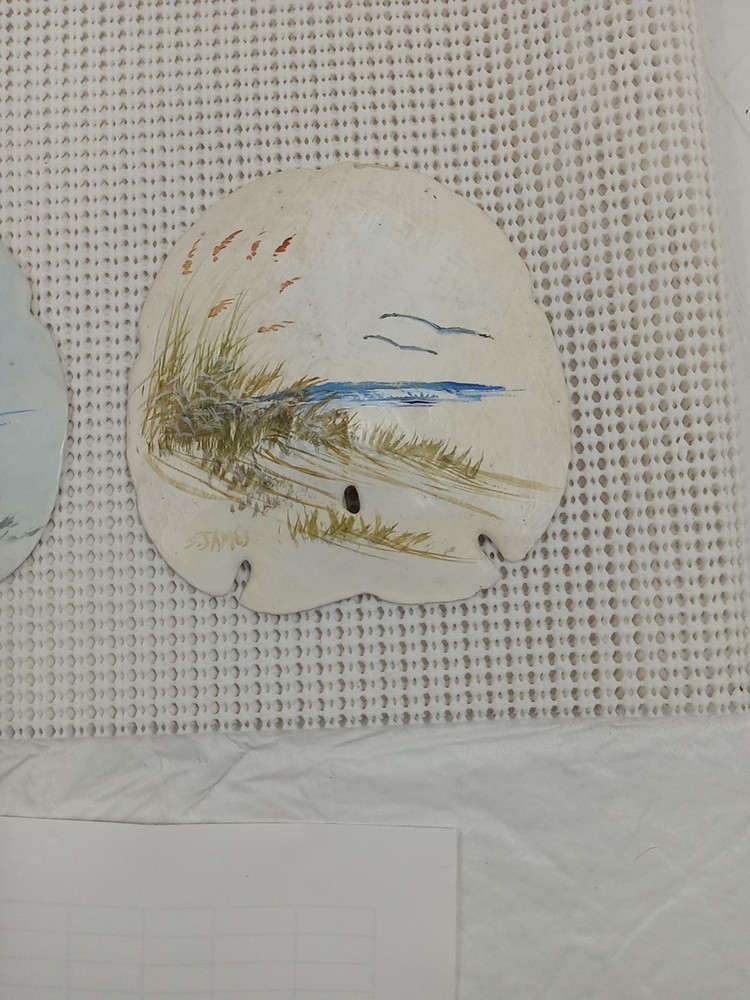 Large Painted Sanddollar