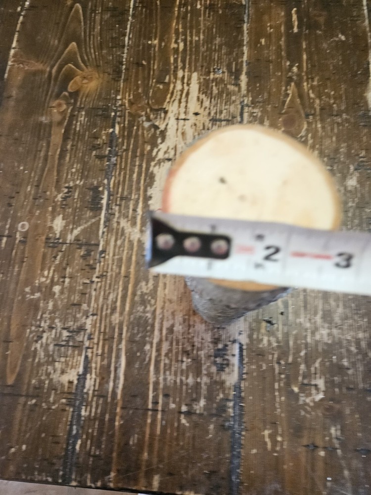 MAPLE Turning Crotch Log 9" Long M4851