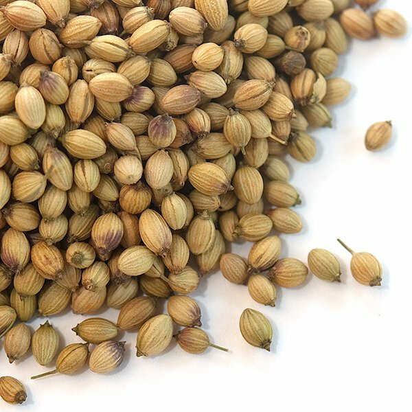 Coriander Seeds - 4 oz. | Bulk | Spice Jungle