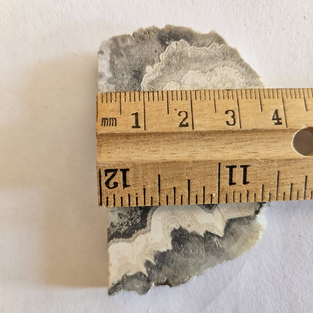 Unknown Interesting Lapidary Slab 27 Grams