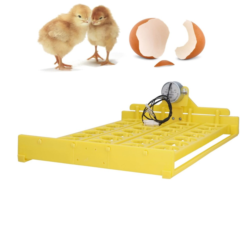 Plastic Egg Incubator Tray, Sufficient Power Safe Hatching Fully Automatic Eg...