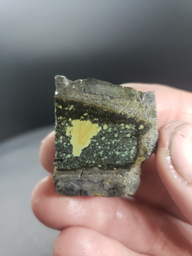 Nevada Saguaro Variscite Slab