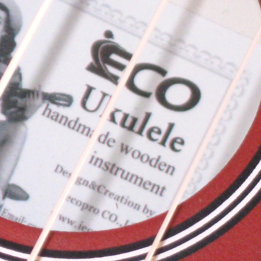 UKULELE iECO Beginner's Model 4-String w/ Case and Electronic Tuner