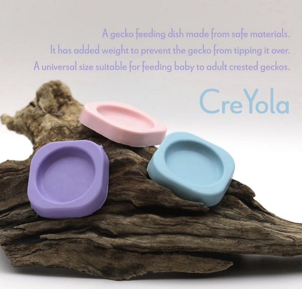 Gecko Feeding Dishes