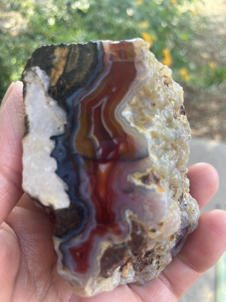Laguna Agate Specimen (Rough)