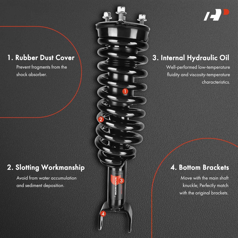 Front Pair (2) Complete Strut & Coil Spring Assembly Compatible with Dodge Dakot