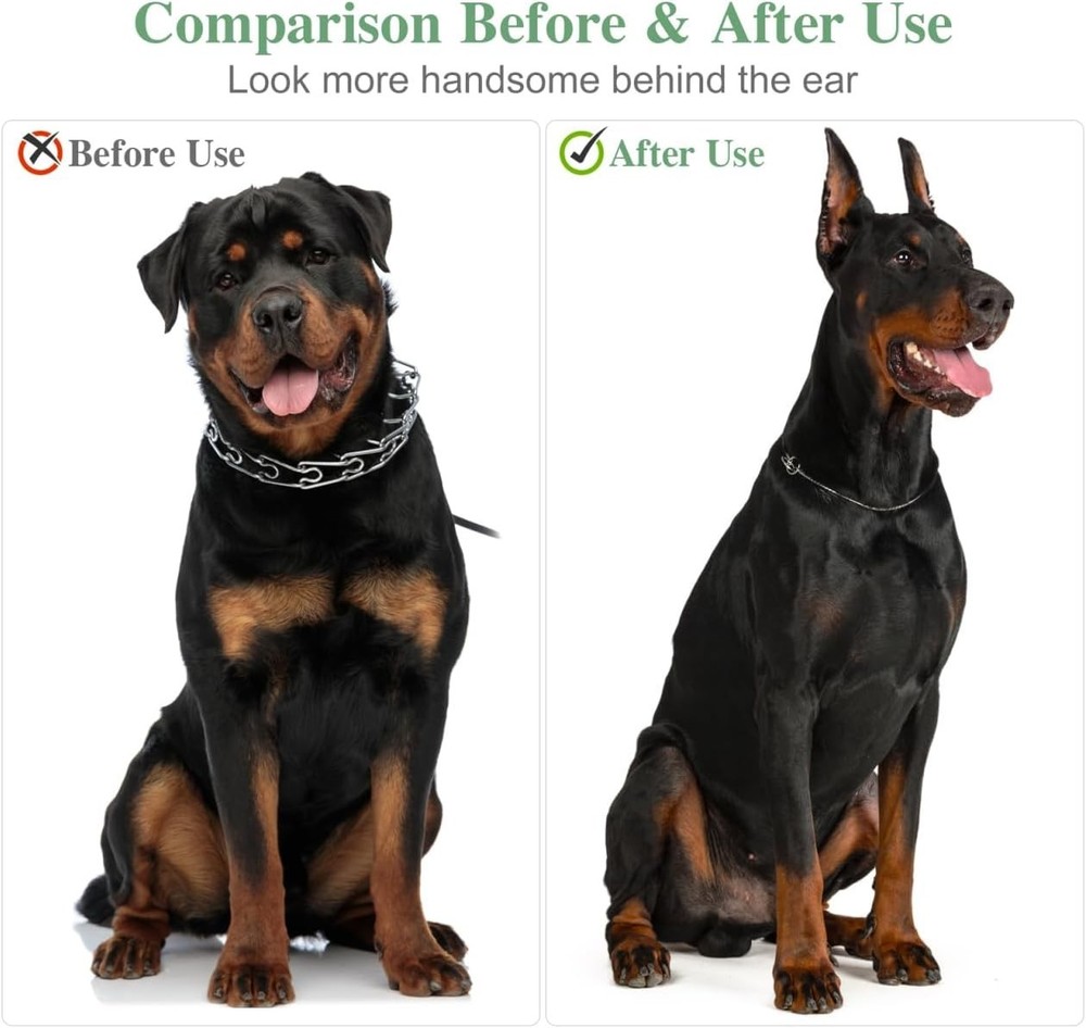 Dog Ear Stand up Support Kit for German Shepherds and Dobermans - Includes Stand