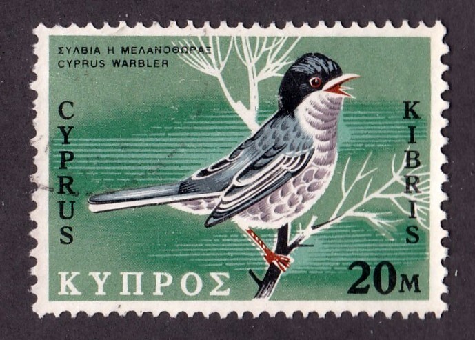 Cyprus       331         used