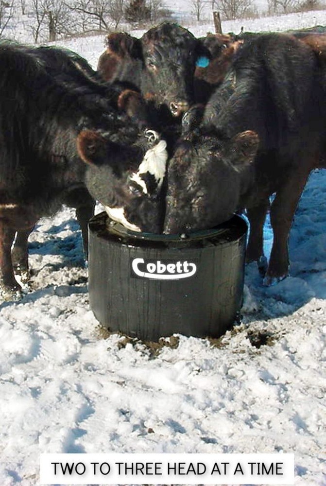 Cobett Cattle Waterer