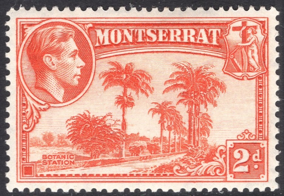 MONTSERRAT-1938-48 2d Orange Perf 13 Sg 104 MOUNTED MINT