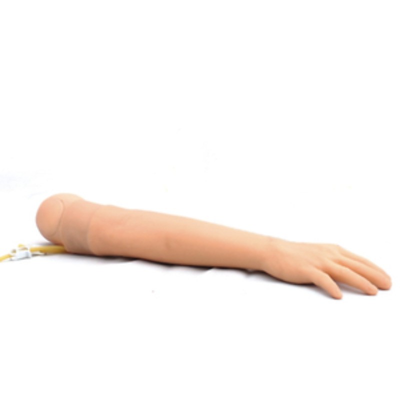 Display Arm Venipuncture IntramuscularInjection Training Model