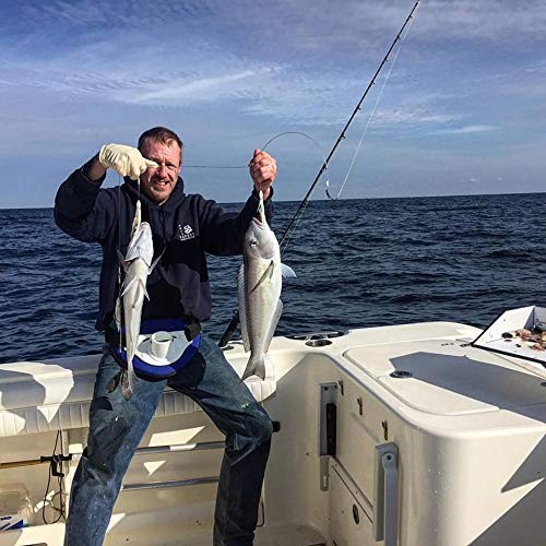 Rig Bundle - 3 Rigs With Lights and Weights