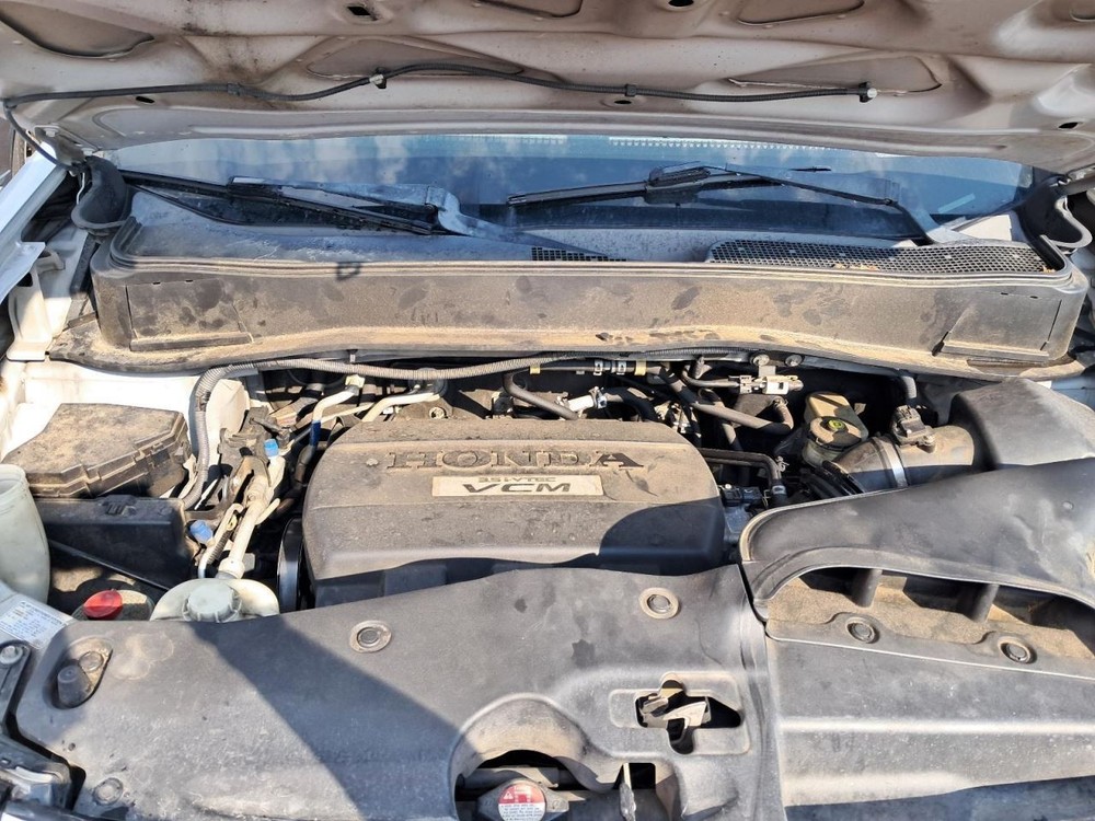 PILOT 2009 Glove Box 4791309