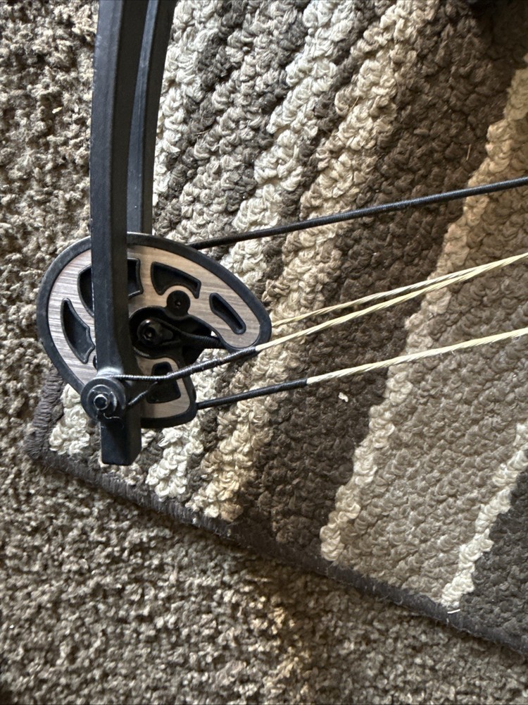 compound bow right hand used