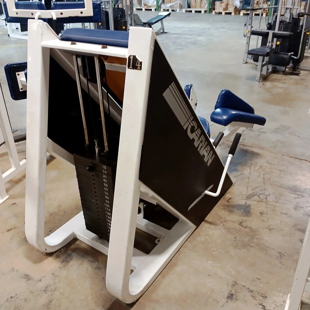 Icarian Hip Adductor