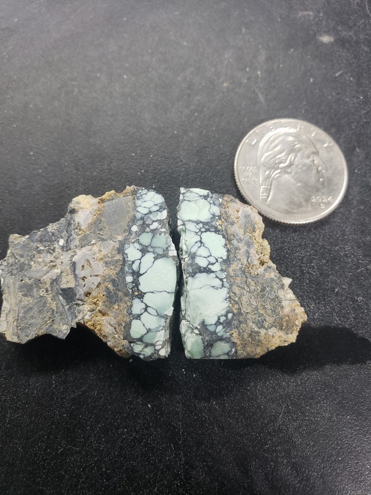 Nevada Gecko Variscite Slabs