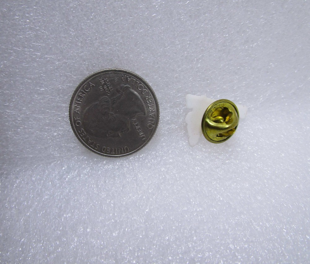 Austin Adopt A School Plastic Pin