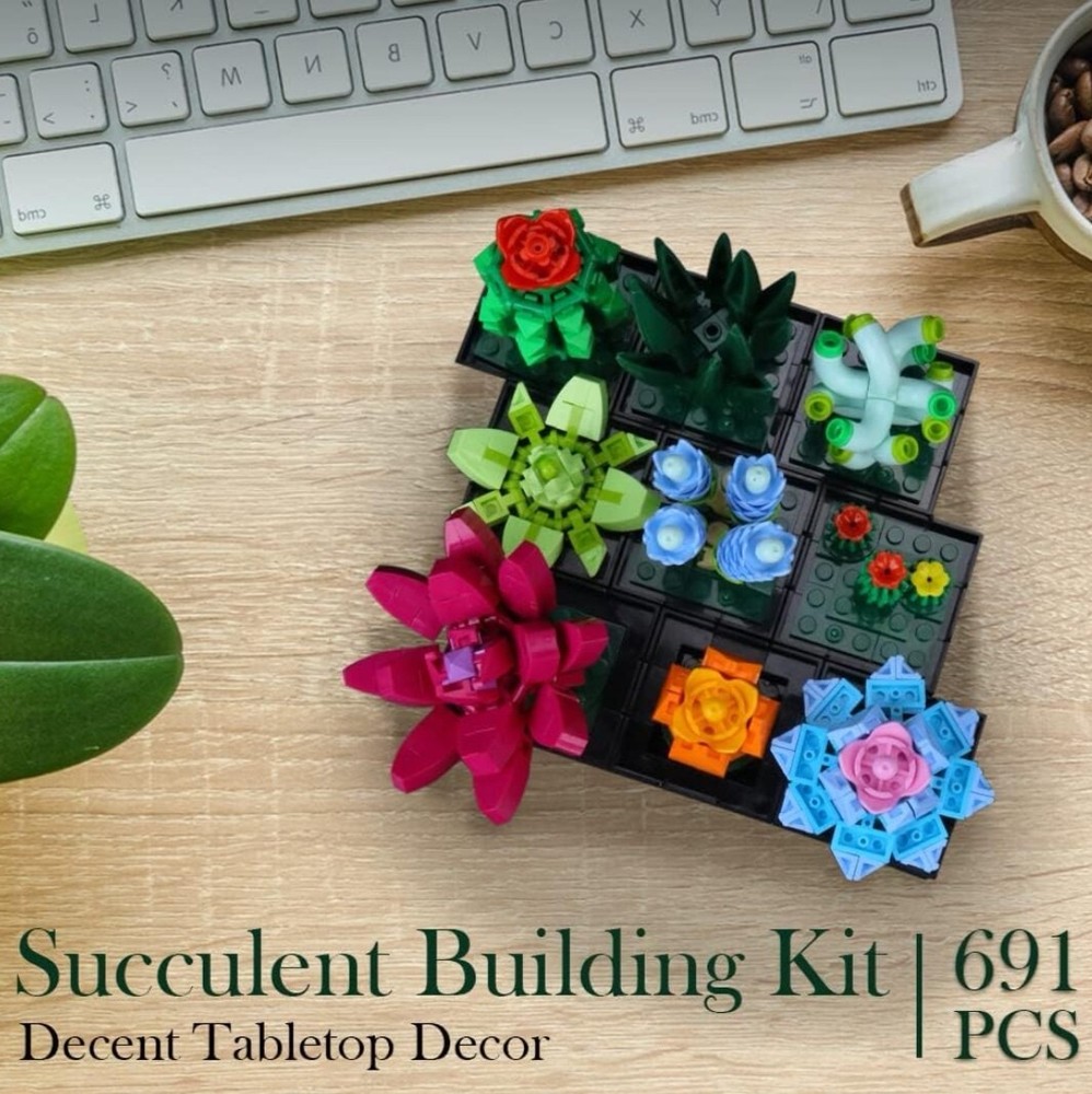 Succulent Bonsai Building Kit,